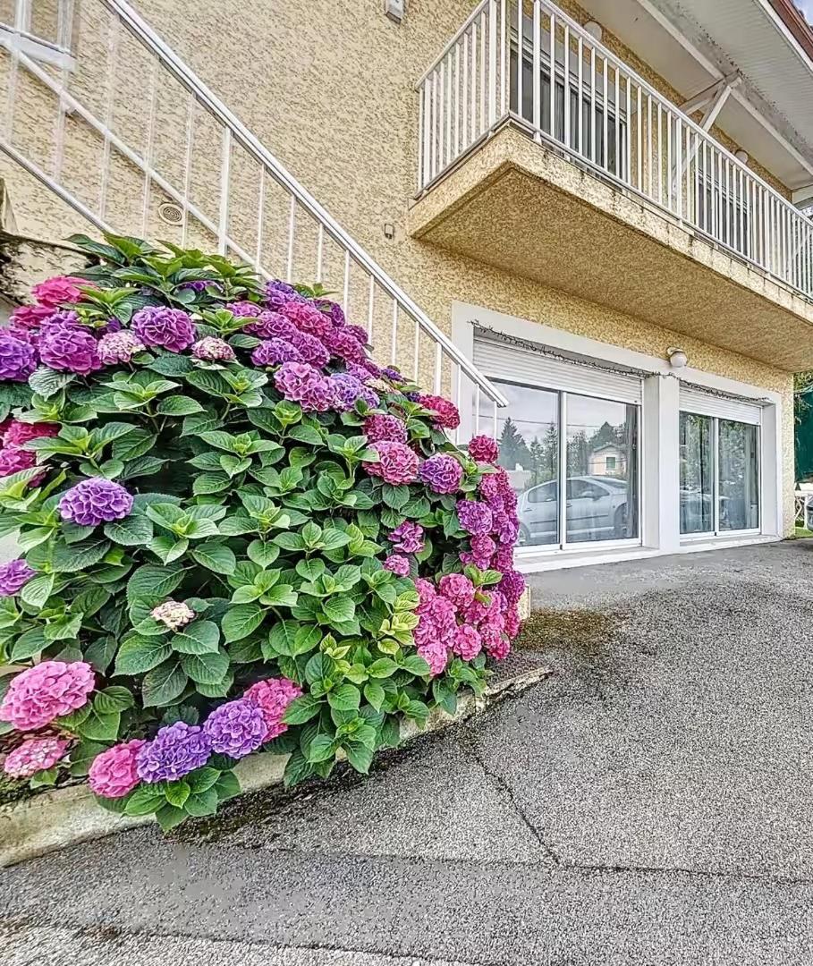 L'Echappee Viennoise Apartment Vienne  Exterior photo